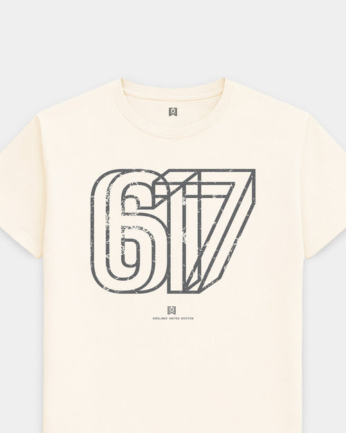 mockup-flatlay_T_Area---All-Sports_Boston_MA_All-Teams_Dark-On-Vintage-White_rel-20260602_id-N03C9O2.jpg
