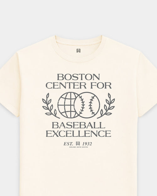 mockup-flatlay_T_Baseball-Excellence---MLB_Boston_MA_All-Teams_Dark-On-Vintage-White_rel-20260602_id-LMYL3AZ.jpg