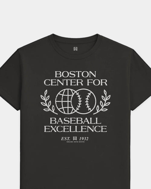 mockup-flatlay_T_Baseball-Excellence---MLB_Boston_MA_All-Teams_Light-On-Washed-Black_rel-20260602_id-FMNRSXC.jpg