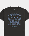 mockup-flatlay_T_Baseball-Excellence---MLB_Chicago_IL_Cubs_Team-On-Washed-Black_rel-20260602_id-56YFAAW.jpg