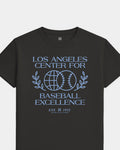 mockup-flatlay_T_Baseball-Excellence---MLB_Los-Angeles_CA_Dodgers_Team-On-Washed-Black_rel-20260602_id-PXTX999.jpg