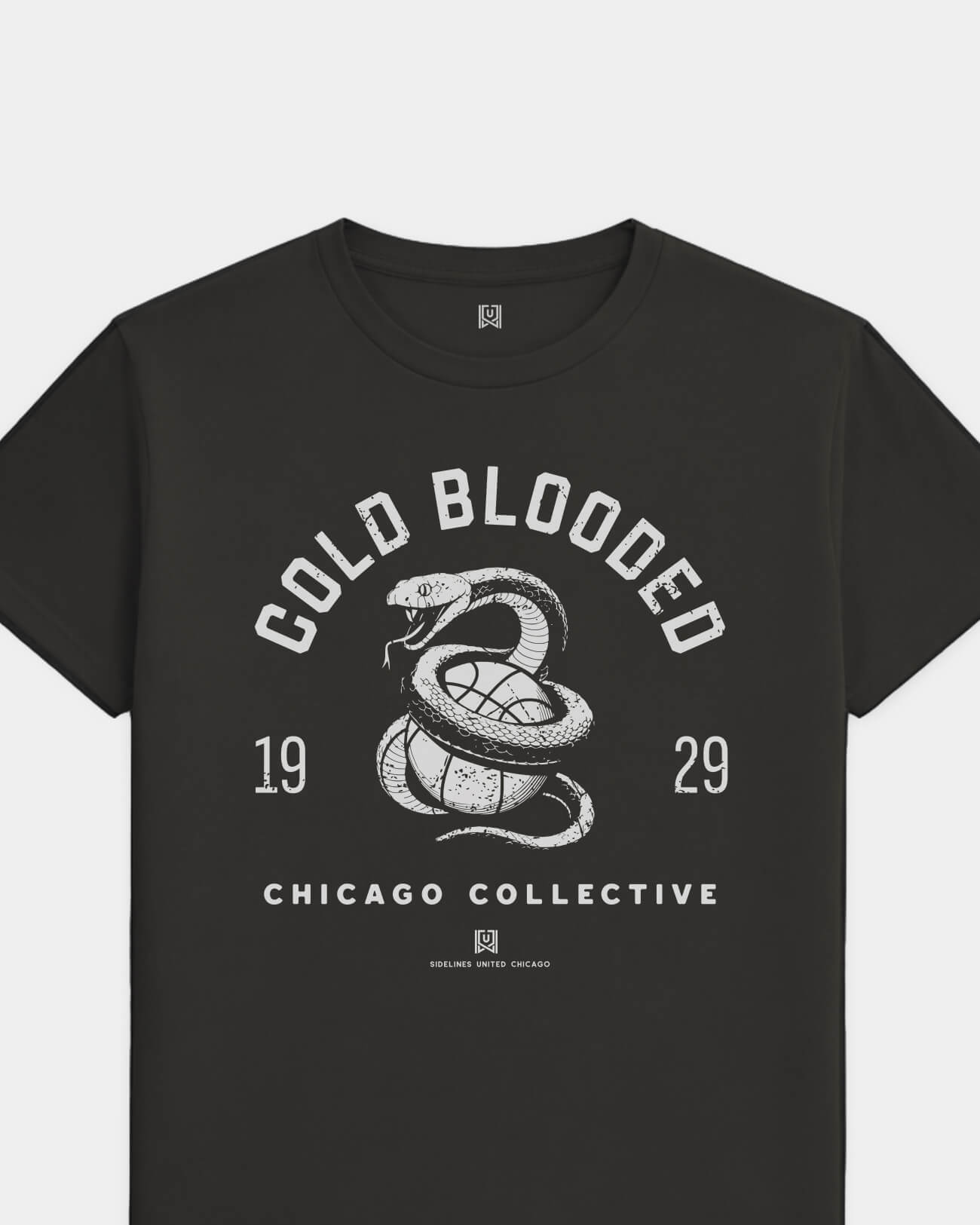 mockup-flatlay_T_Cold-Blooded---NBA_Chicago_IL_All-Teams_Light-On-Washed-Black_rel-20260602_id-81HTTZH.jpg