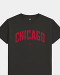 mockup-flatlay_T_Foundations---All-Sports_Chicago_IL_Bulls_Team-On-Washed-Black_rel-20260602_id-6C6DZKN.jpg