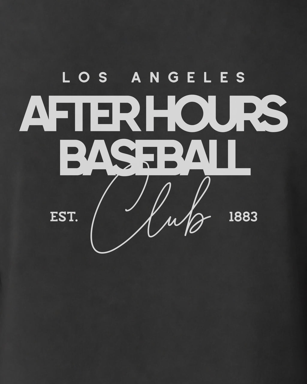 LA After Hours BSBL Tee - Washed Black / White - Zoom