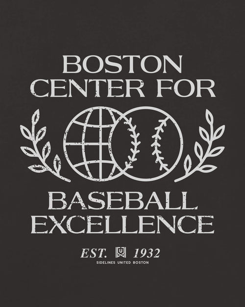 mockup-zoom_T_Baseball-Excellence---MLB_Boston_MA_All-Teams_Light-On-Washed-Black_rel-20260602_id-FMNRSXC.jpg
