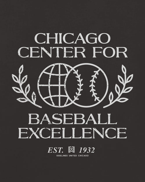 mockup-zoom_T_Baseball-Excellence---MLB_Chicago_IL_All-Teams_Light-On-Washed-Black_rel-20260602_id-L3KNLUW.jpg