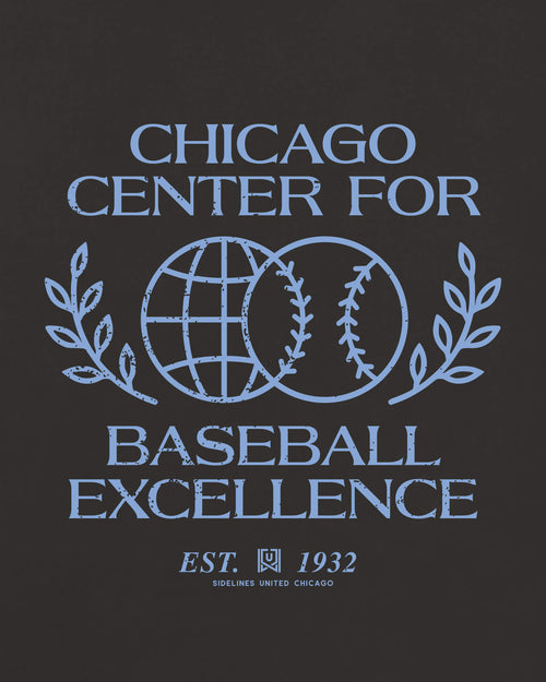 mockup-zoom_T_Baseball-Excellence---MLB_Chicago_IL_Cubs_Team-On-Washed-Black_rel-20260602_id-56YFAAW.jpg