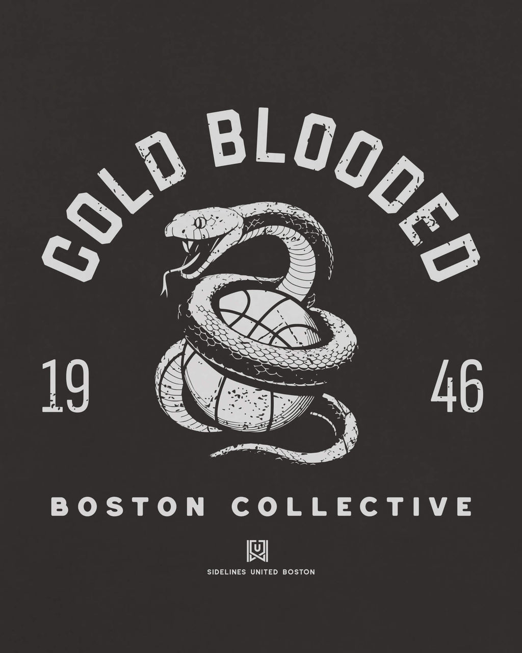 mockup-zoom_T_Cold-Blooded---NBA_Boston_MA_All-Teams_Light-On-Washed-Black_rel-20260602_id-E8G5PL7.jpg