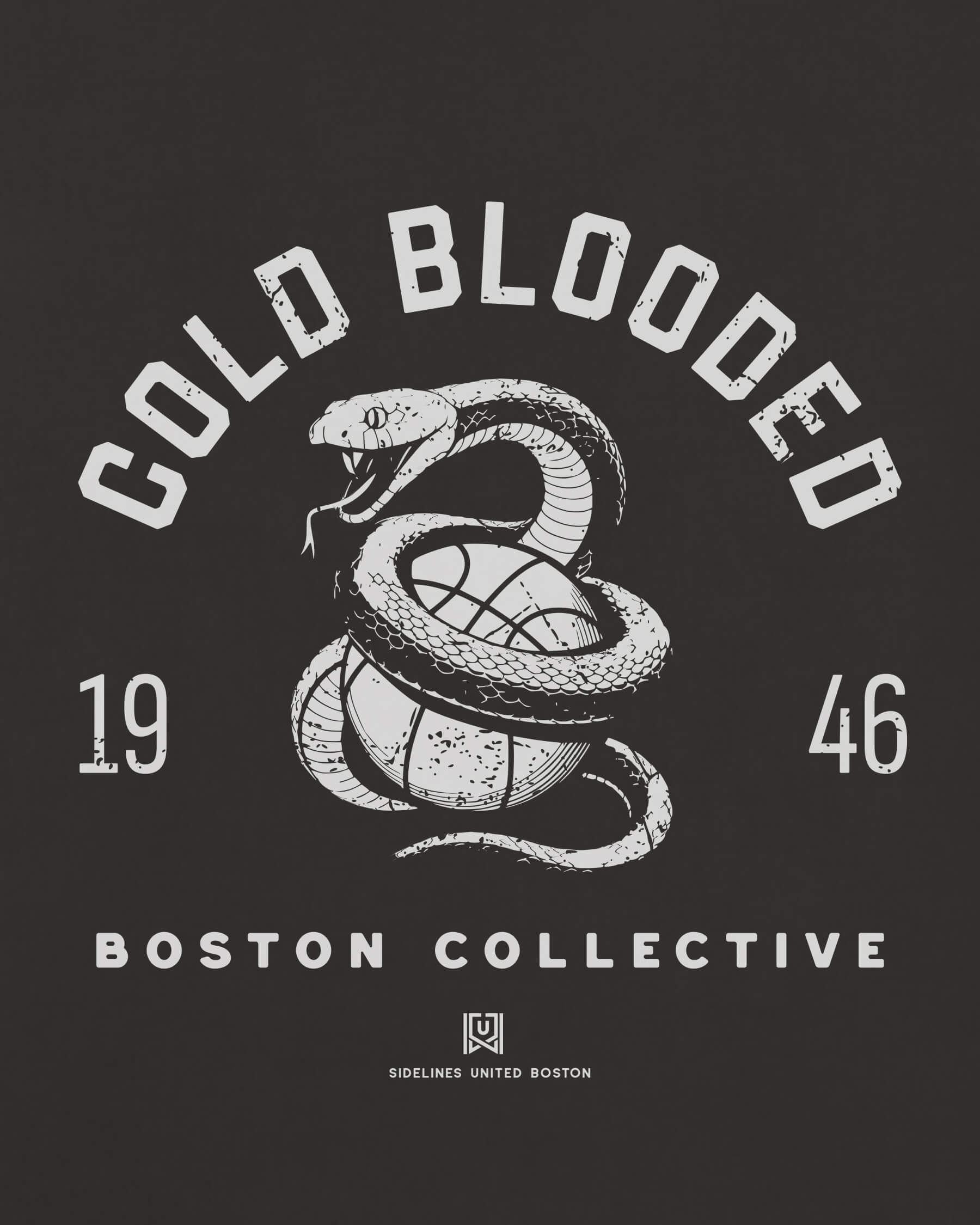 mockup-zoom_T_Cold-Blooded---NBA_Boston_MA_All-Teams_Light-On-Washed-Black_rel-20260602_id-E8G5PL7.jpg