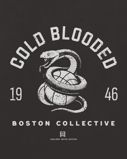 mockup-zoom_T_Cold-Blooded---NBA_Boston_MA_All-Teams_Light-On-Washed-Black_rel-20260602_id-E8G5PL7.jpg