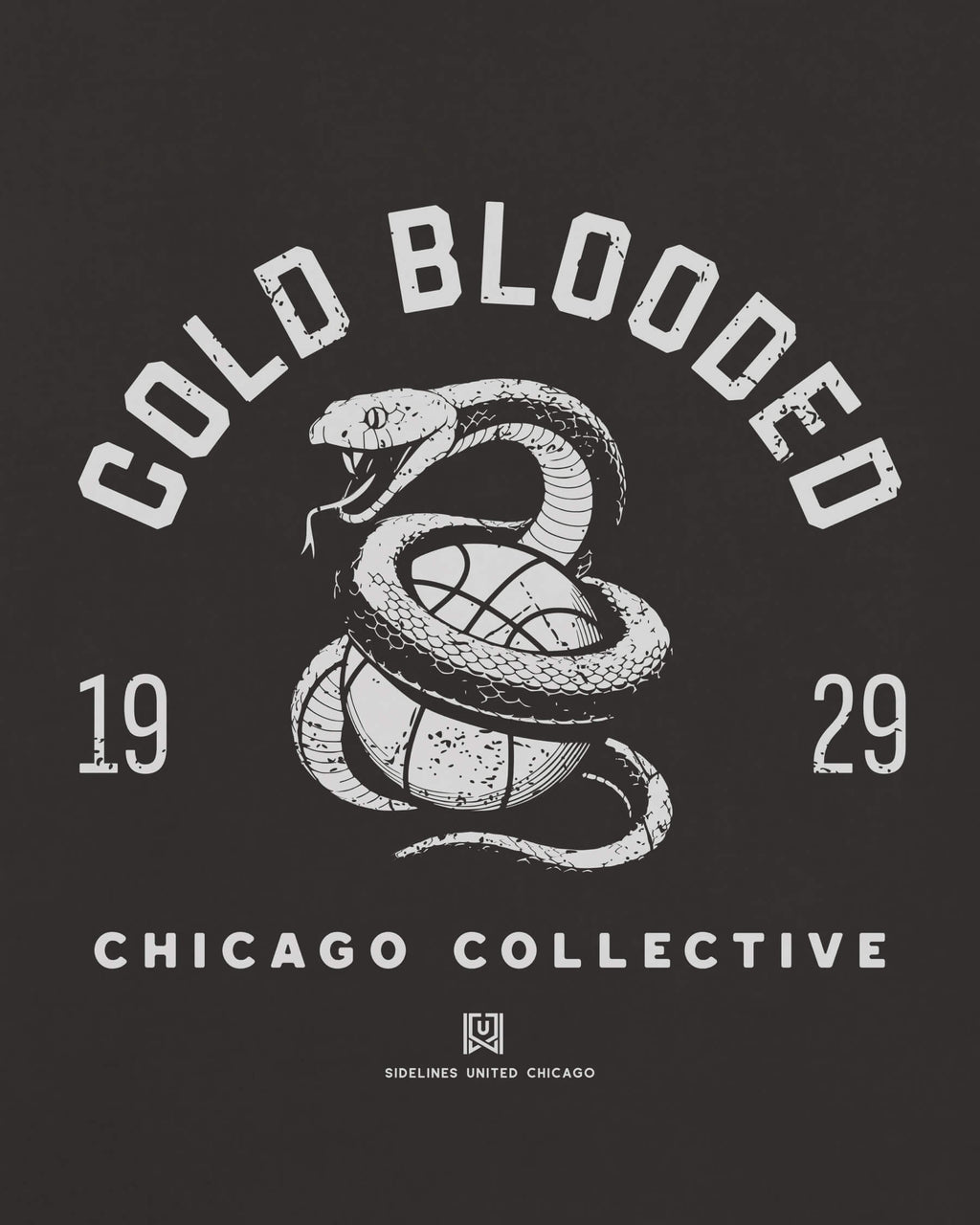 mockup-zoom_T_Cold-Blooded---NBA_Chicago_IL_All-Teams_Light-On-Washed-Black_rel-20260602_id-81HTTZH.jpg