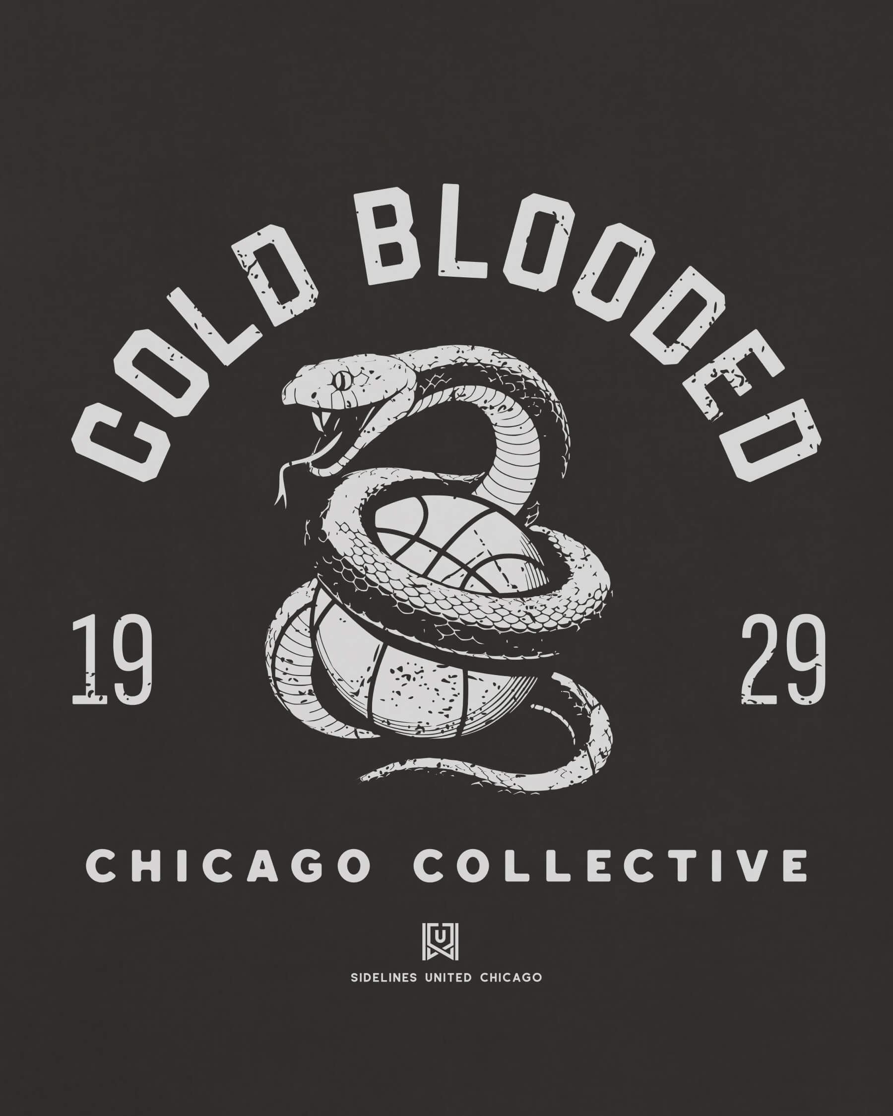 mockup-zoom_T_Cold-Blooded---NBA_Chicago_IL_All-Teams_Light-On-Washed-Black_rel-20260602_id-81HTTZH.jpg