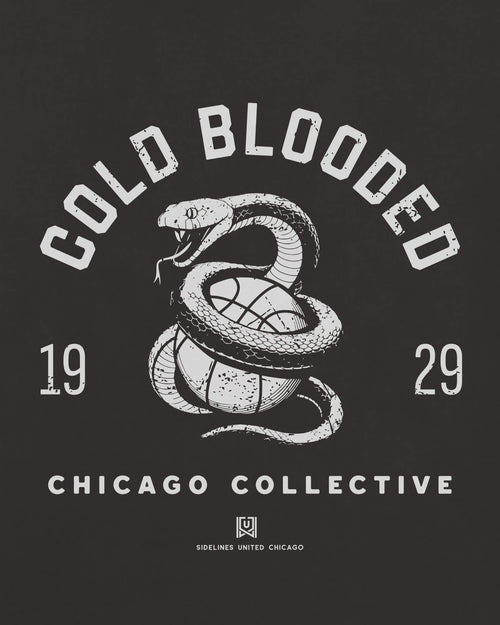 mockup-zoom_T_Cold-Blooded---NBA_Chicago_IL_All-Teams_Light-On-Washed-Black_rel-20260602_id-81HTTZH.jpg