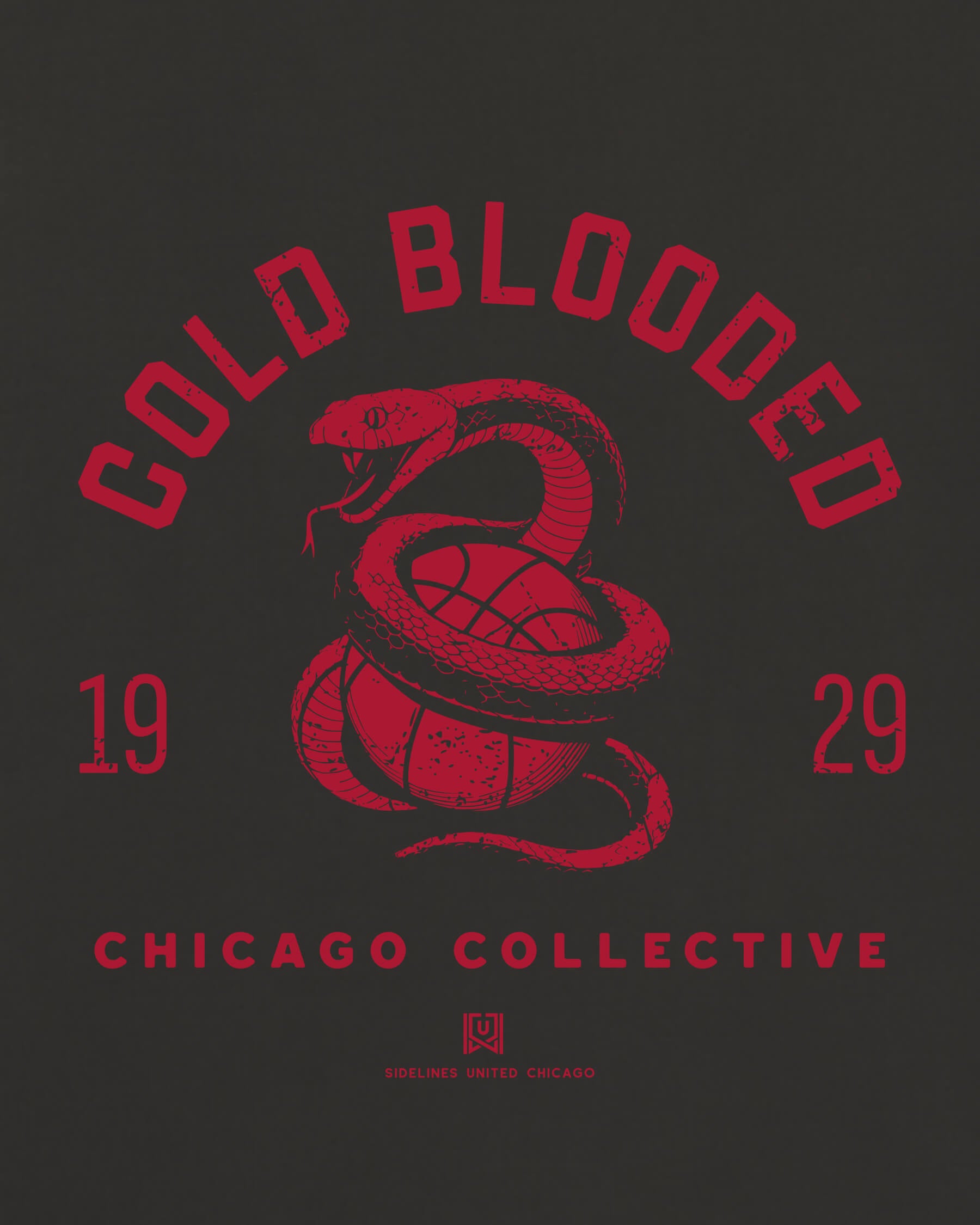 CHI Cold Blooded Tee - Washed Black / Red - Zoom