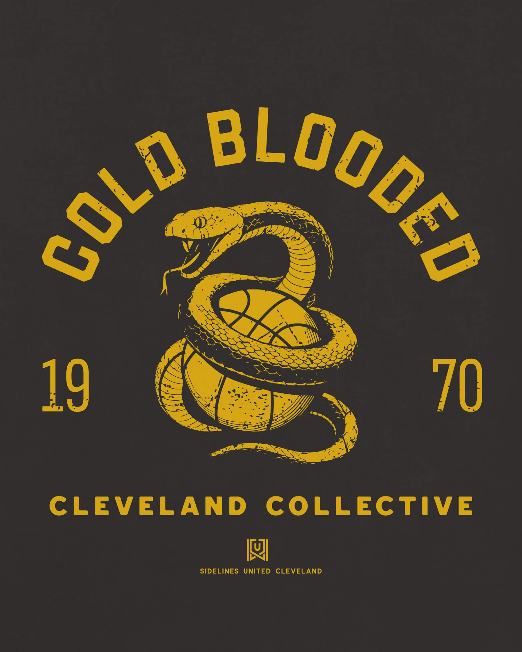 mockup-zoom_T_Cold-Blooded---NBA_Cleveland_OH_Cavs_Team-On-Washed-Black_rel-20260602_id-23PXB15.jpg