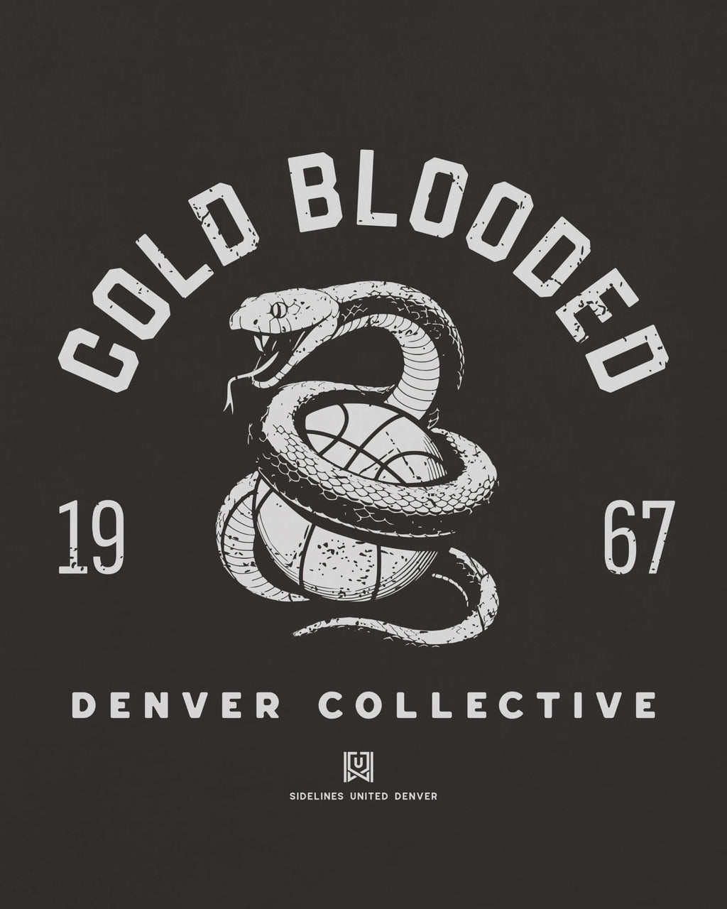 mockup-zoom_T_Cold-Blooded---NBA_Denver_CO_All-Teams_Light-On-Washed-Black_rel-20260602_id-RJOX2ED.jpg