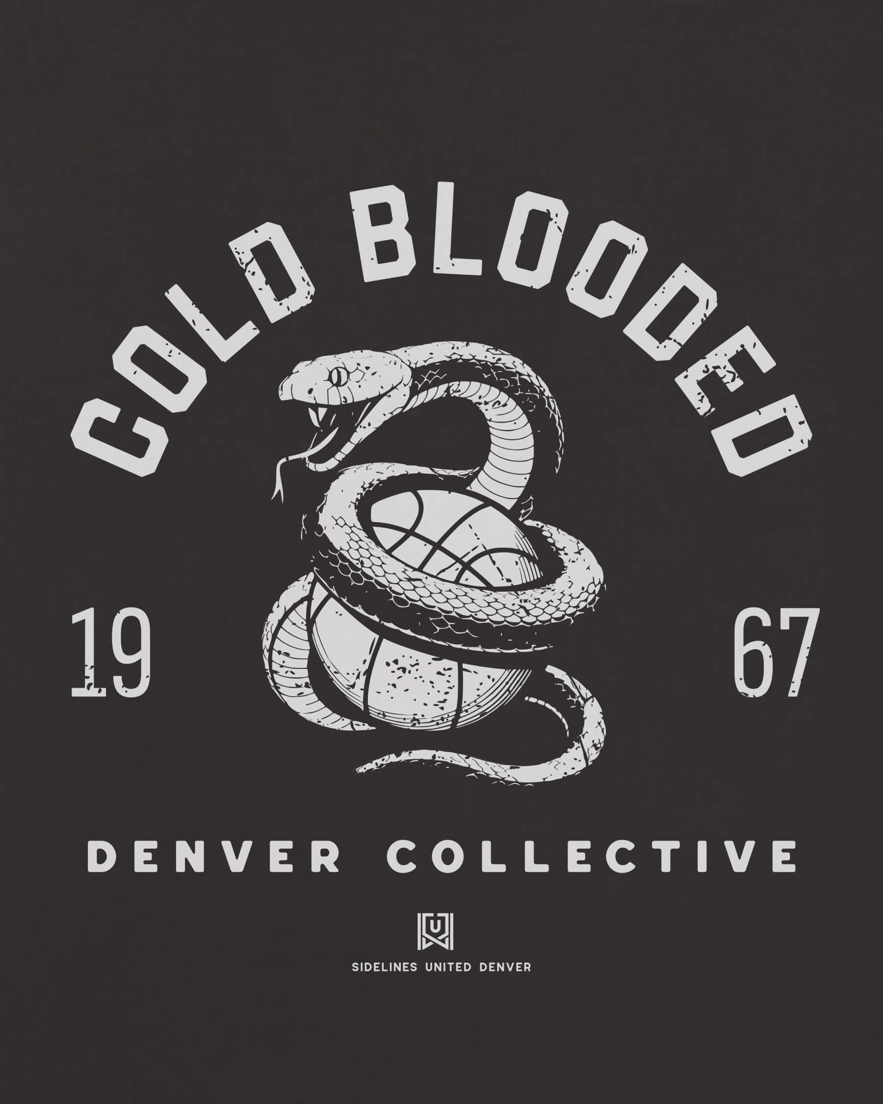 mockup-zoom_T_Cold-Blooded---NBA_Denver_CO_All-Teams_Light-On-Washed-Black_rel-20260602_id-RJOX2ED.jpg