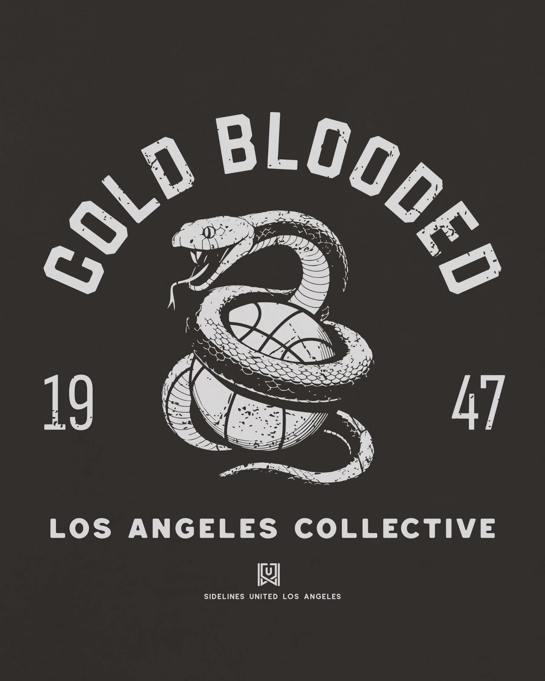 mockup-zoom_T_Cold-Blooded---NBA_Los-Angeles_CA_All-Teams_Light-On-Washed-Black_rel-20260602_id-5J61KZD.jpg