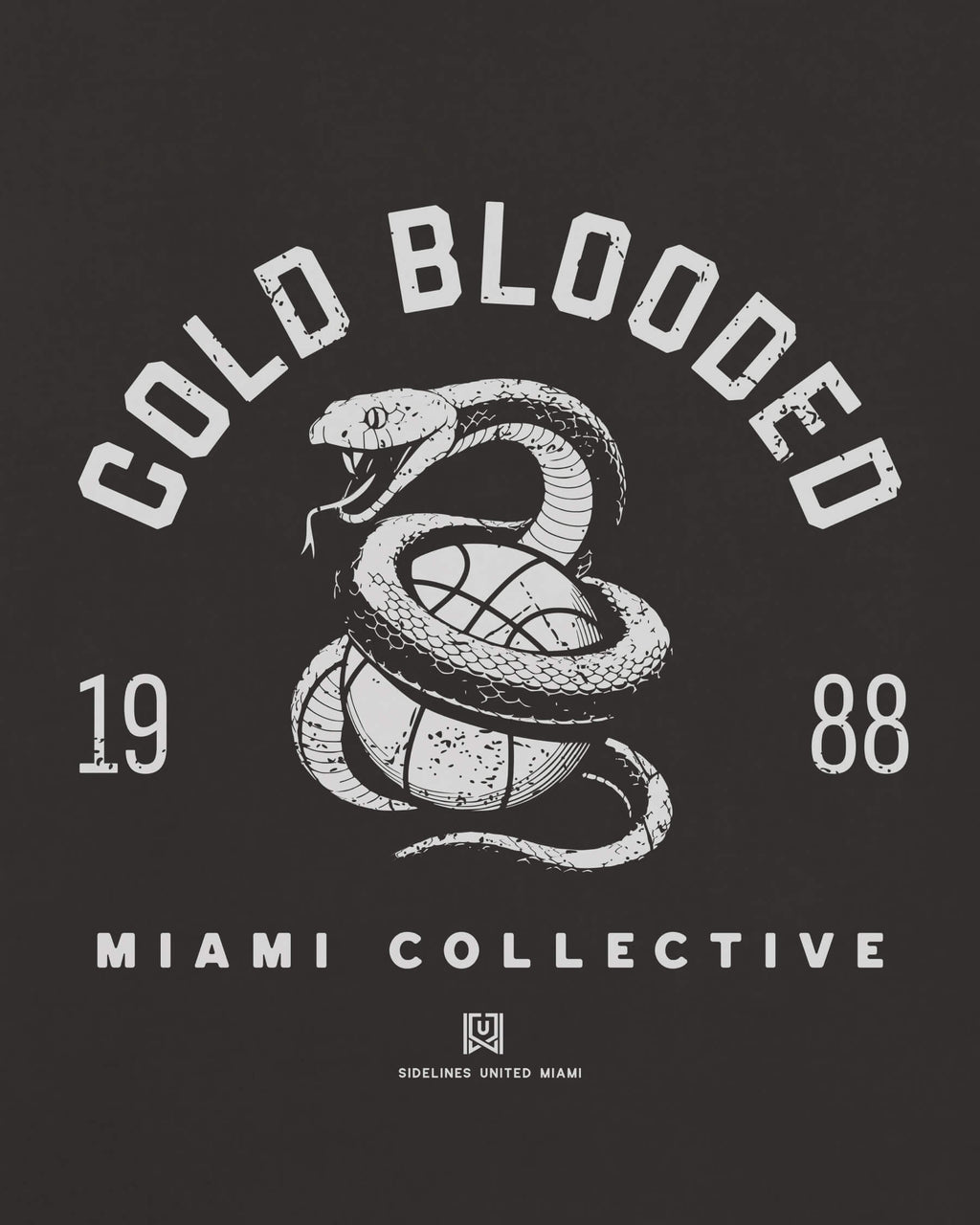 mockup-zoom_T_Cold-Blooded---NBA_Miami_FL_All-Teams_Light-On-Washed-Black_rel-20260602_id-HPNP6RA.jpg