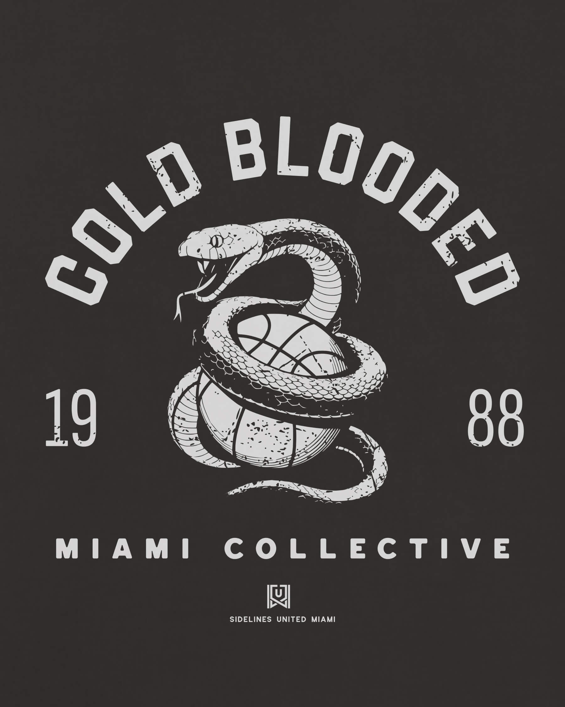 mockup-zoom_T_Cold-Blooded---NBA_Miami_FL_All-Teams_Light-On-Washed-Black_rel-20260602_id-HPNP6RA.jpg