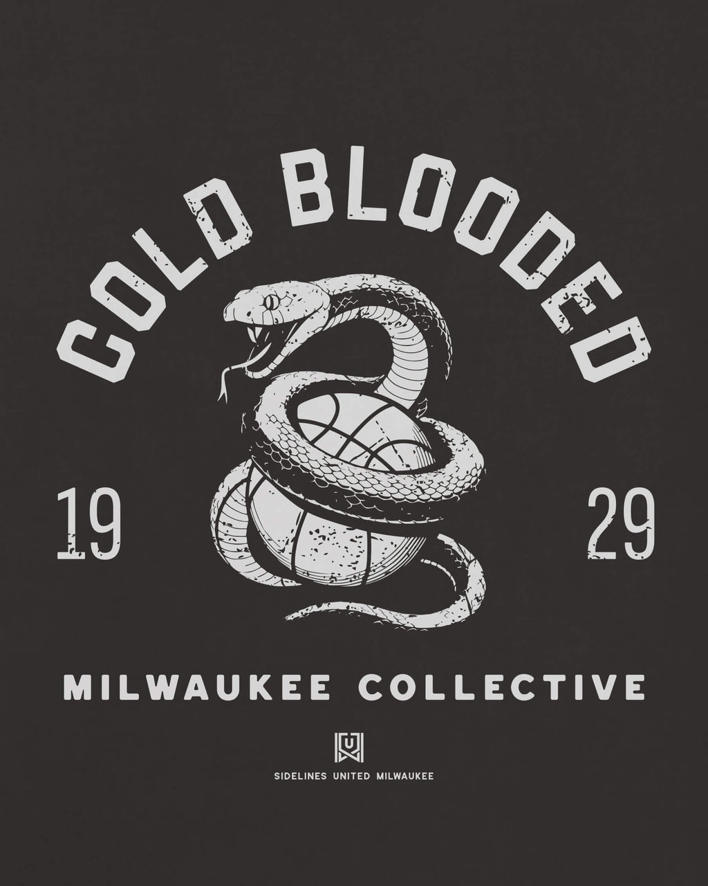 mockup-zoom_T_Cold-Blooded---NBA_Milwaukee_WI_All-Teams_Light-On-Washed-Black_rel-20260602_id-D2XI9K2.jpg