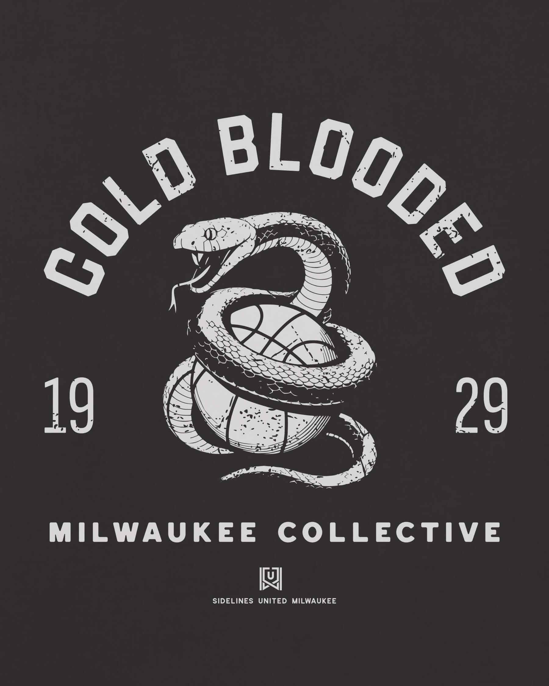 mockup-zoom_T_Cold-Blooded---NBA_Milwaukee_WI_All-Teams_Light-On-Washed-Black_rel-20260602_id-D2XI9K2.jpg