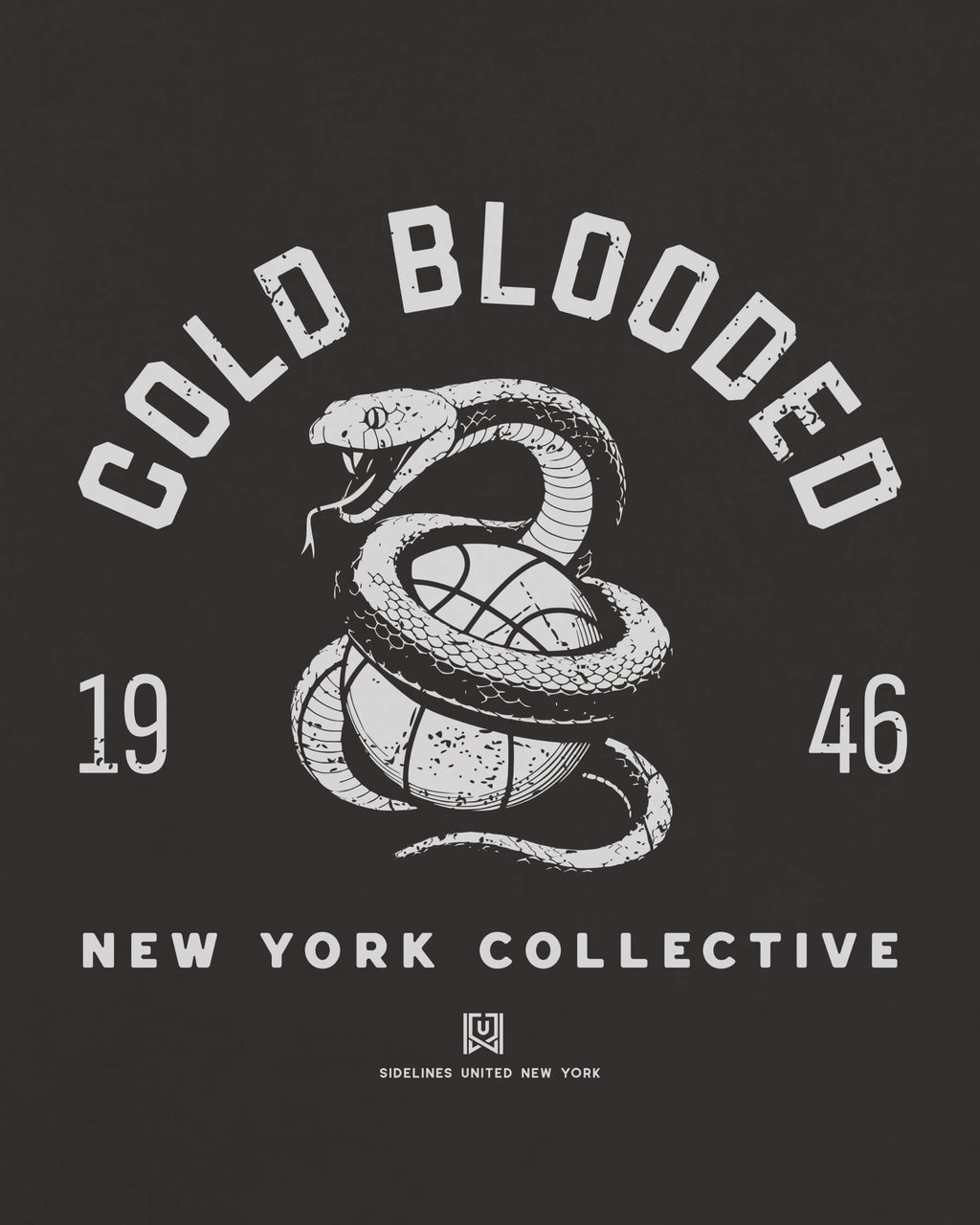 mockup-zoom_T_Cold-Blooded---NBA_New-York_NY_All-Teams_Light-On-Washed-Black_rel-20260602_id-36UWGF5.jpg