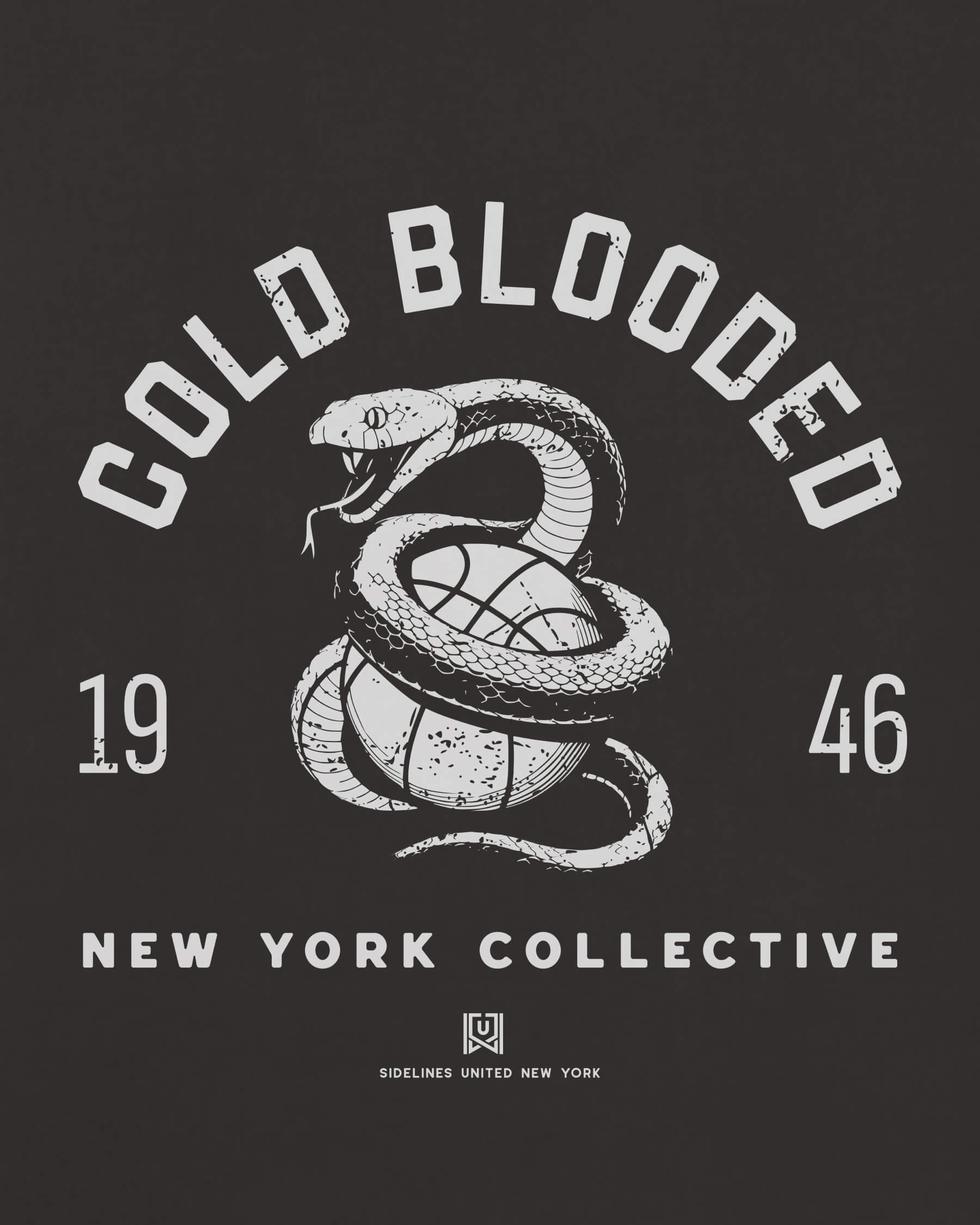 mockup-zoom_T_Cold-Blooded---NBA_New-York_NY_All-Teams_Light-On-Washed-Black_rel-20260602_id-36UWGF5.jpg