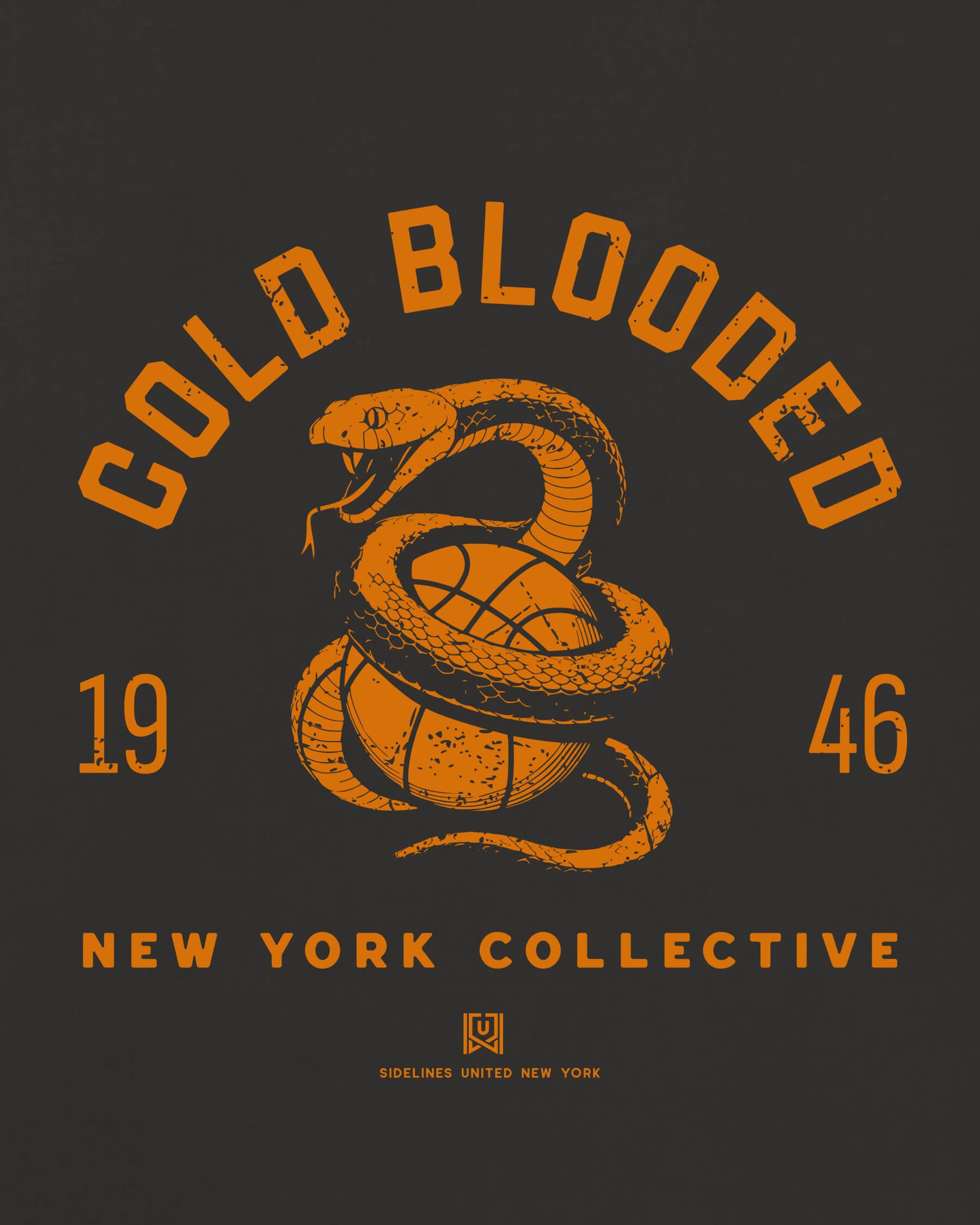 Cold Blooded NBA New York Team On Washed Black zoom