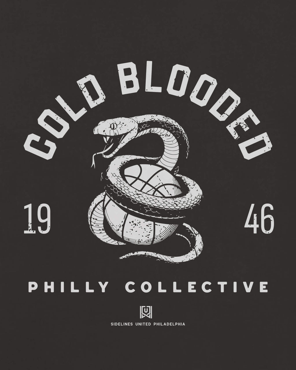 mockup-zoom_T_Cold-Blooded---NBA_Philadelphia_PA_All-Teams_Light-On-Washed-Black_rel-20260602_id-16ZZRRZ.jpg