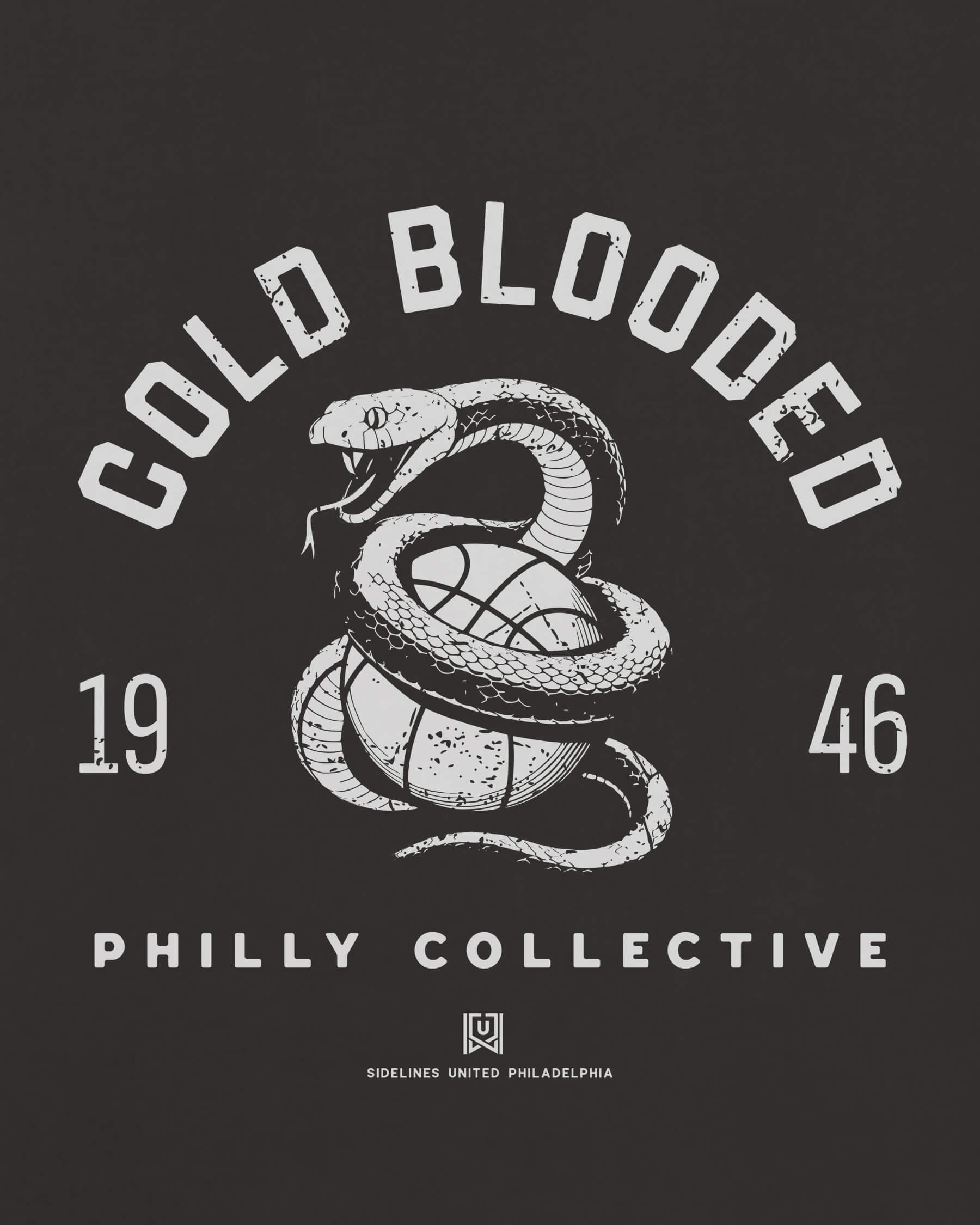 mockup-zoom_T_Cold-Blooded---NBA_Philadelphia_PA_All-Teams_Light-On-Washed-Black_rel-20260602_id-16ZZRRZ.jpg