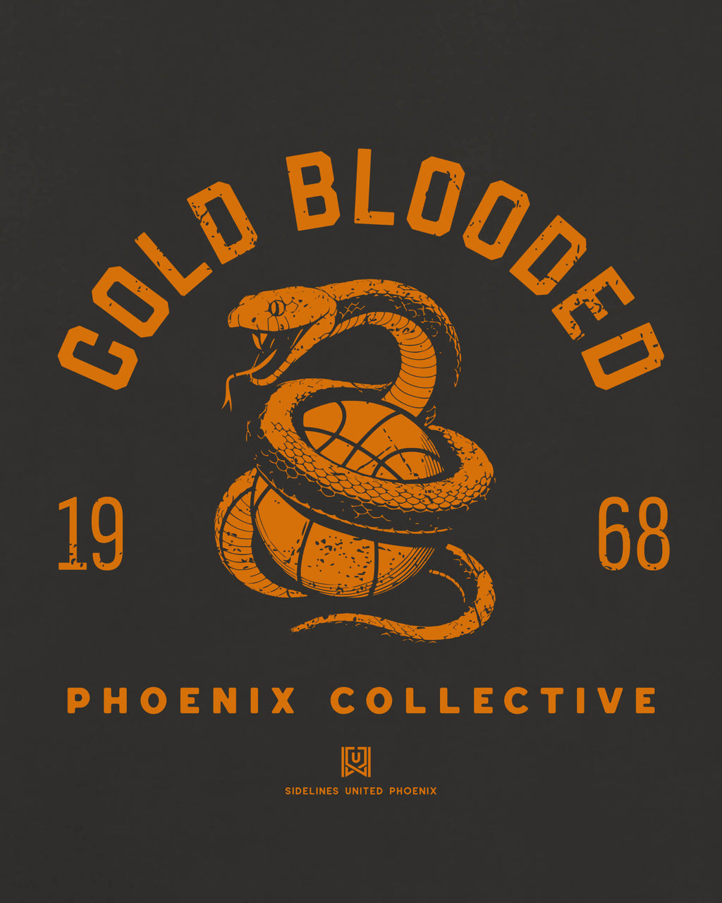 mockup-zoom_T_Cold-Blooded---NBA_Phoenix_AZ_Suns_Team-On-Washed-Black_rel-20260602_id-EOUIQ68.jpg