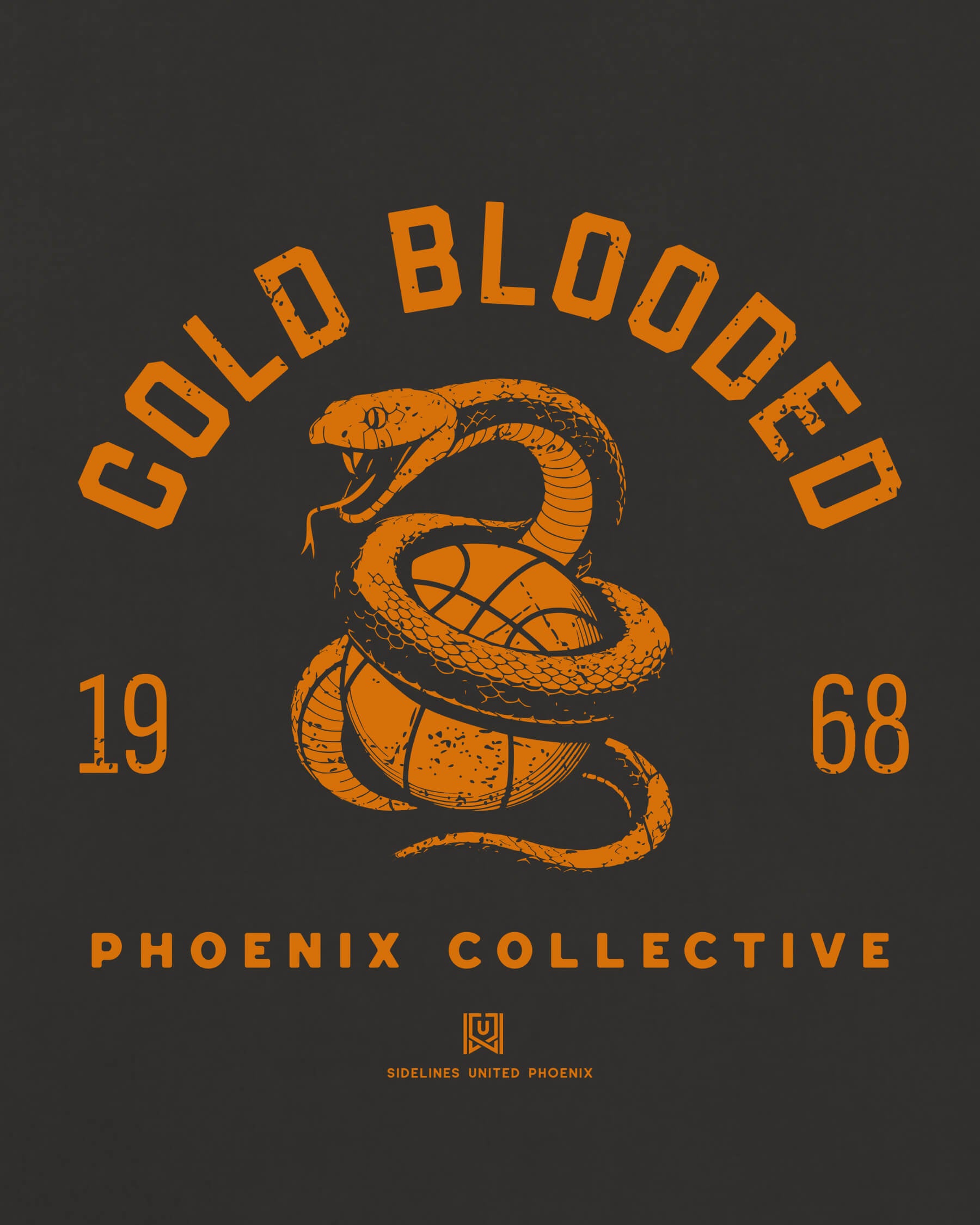 mockup-zoom_T_Cold-Blooded---NBA_Phoenix_AZ_Suns_Team-On-Washed-Black_rel-20260602_id-EOUIQ68.jpg