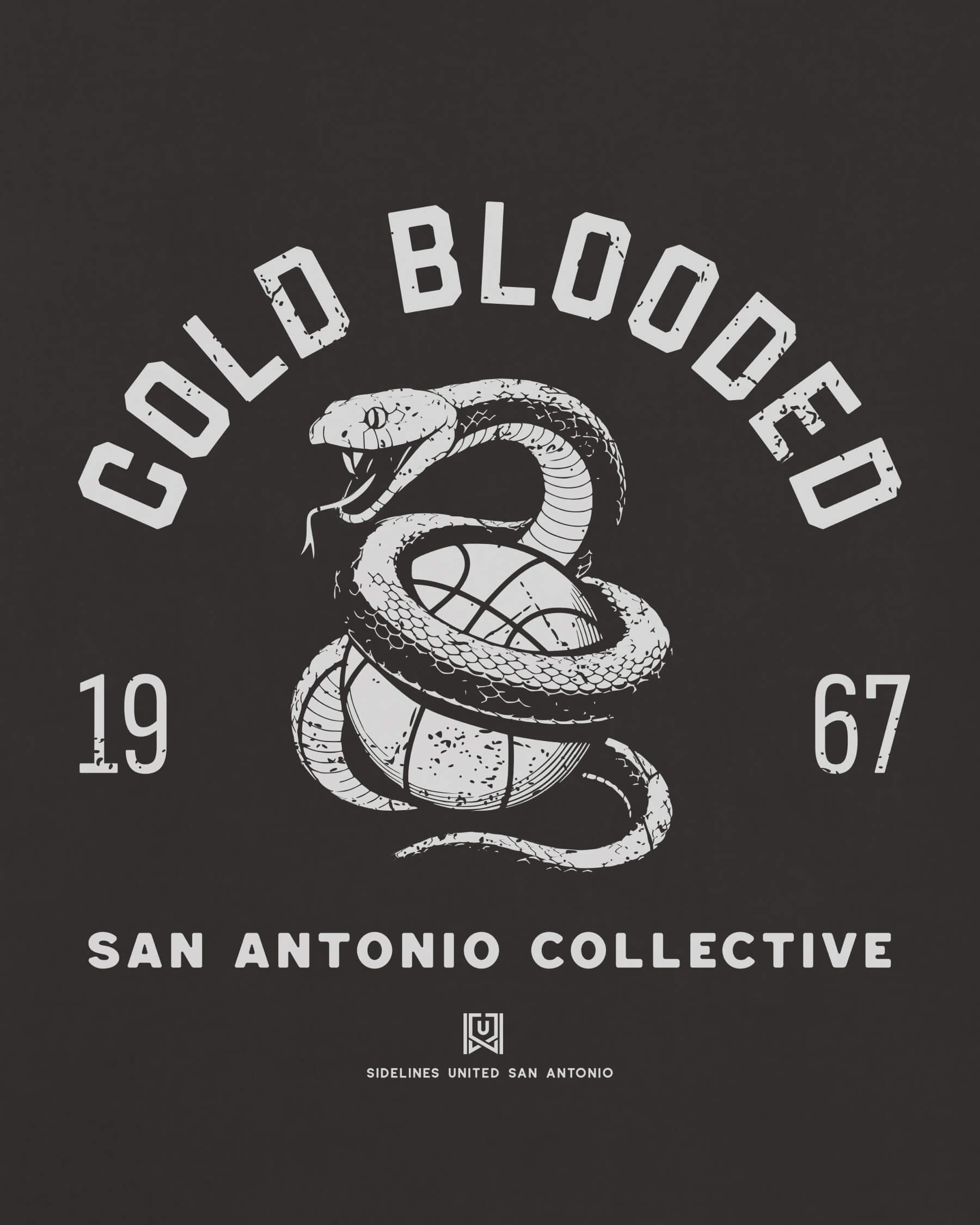 mockup-zoom_T_Cold-Blooded---NBA_San-Antonio_TX_All-Teams_Light-On-Washed-Black_rel-20260602_id-TL10XYO.jpg