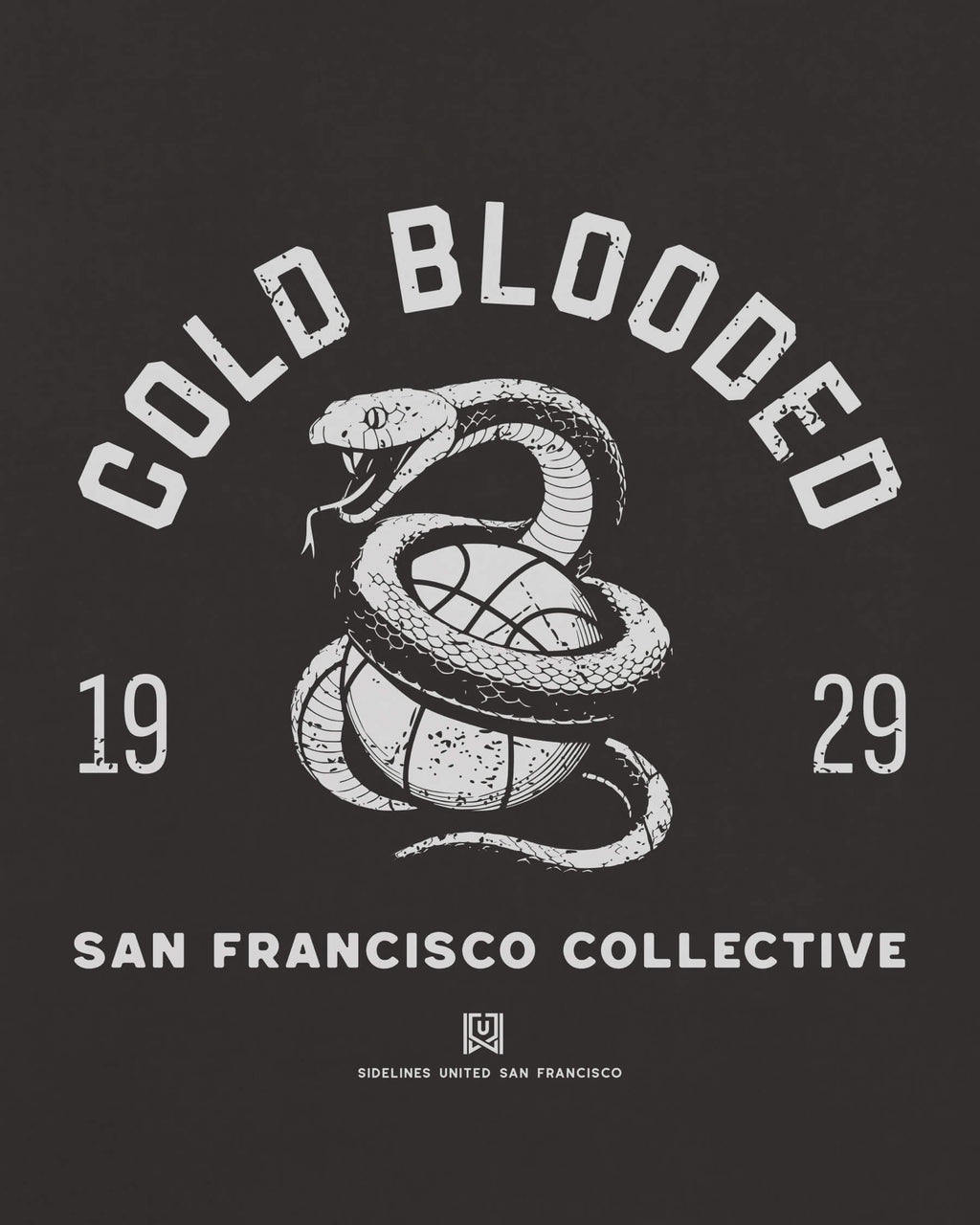mockup-zoom_T_Cold-Blooded---NBA_San-Francisco_CA_All-Teams_Light-On-Washed-Black_rel-20260602_id-OFBPZYR.jpg
