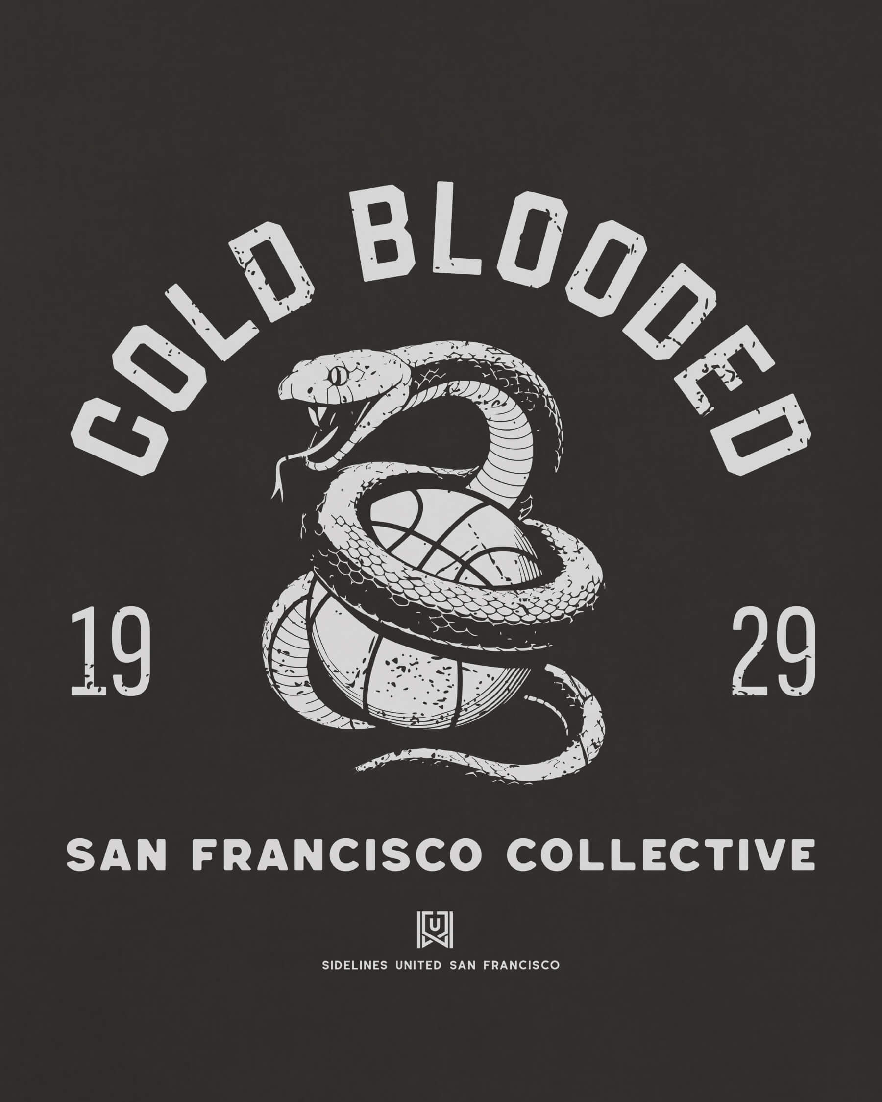 mockup-zoom_T_Cold-Blooded---NBA_San-Francisco_CA_All-Teams_Light-On-Washed-Black_rel-20260602_id-OFBPZYR.jpg
