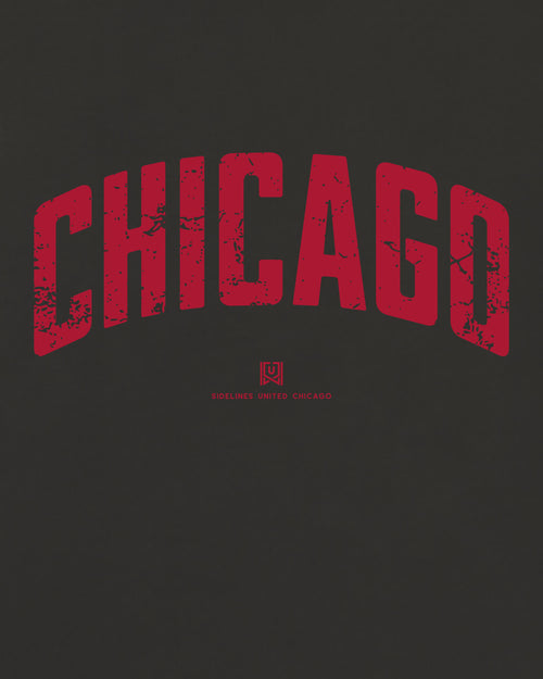 mockup-zoom_T_Foundations---All-Sports_Chicago_IL_Bulls_Team-On-Washed-Black_rel-20260602_id-6C6DZKN.jpg