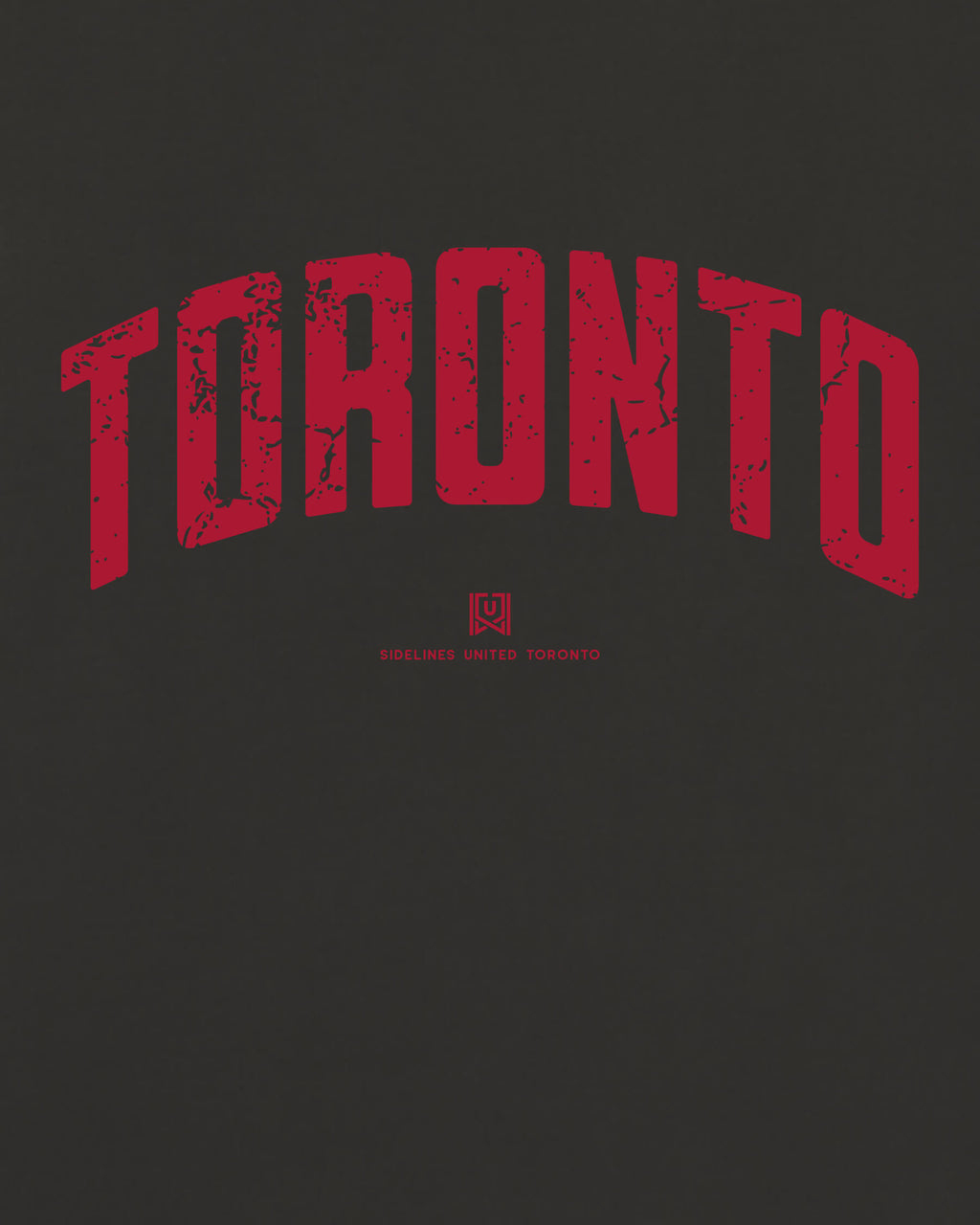 mockup-zoom_T_Foundations---All-Sports_Toronto_CAN_Raptors_Team-On-Washed-Black_rel-20260602_id-N9GIY8G.jpg