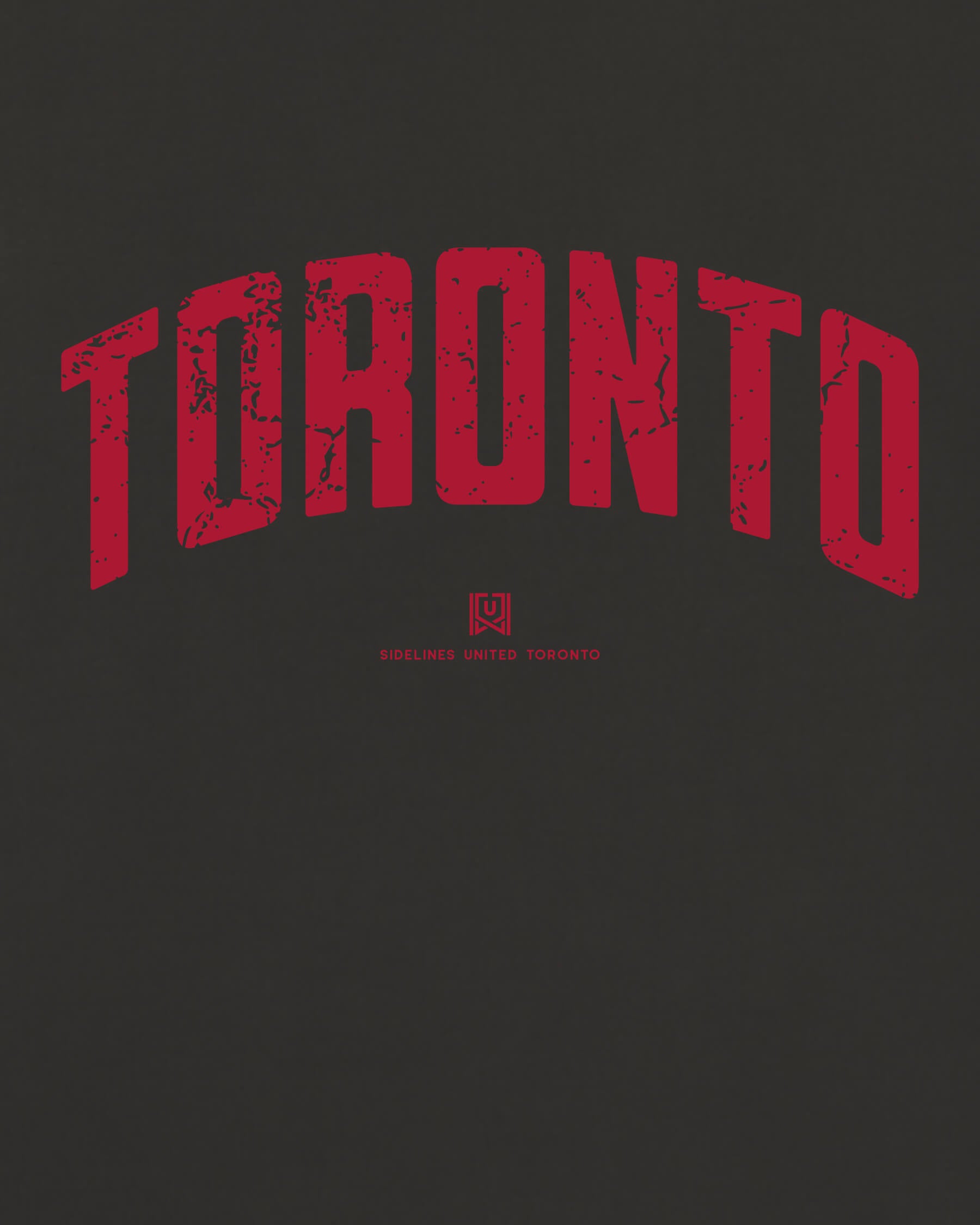 mockup-zoom_T_Foundations---All-Sports_Toronto_CAN_Raptors_Team-On-Washed-Black_rel-20260602_id-N9GIY8G.jpg