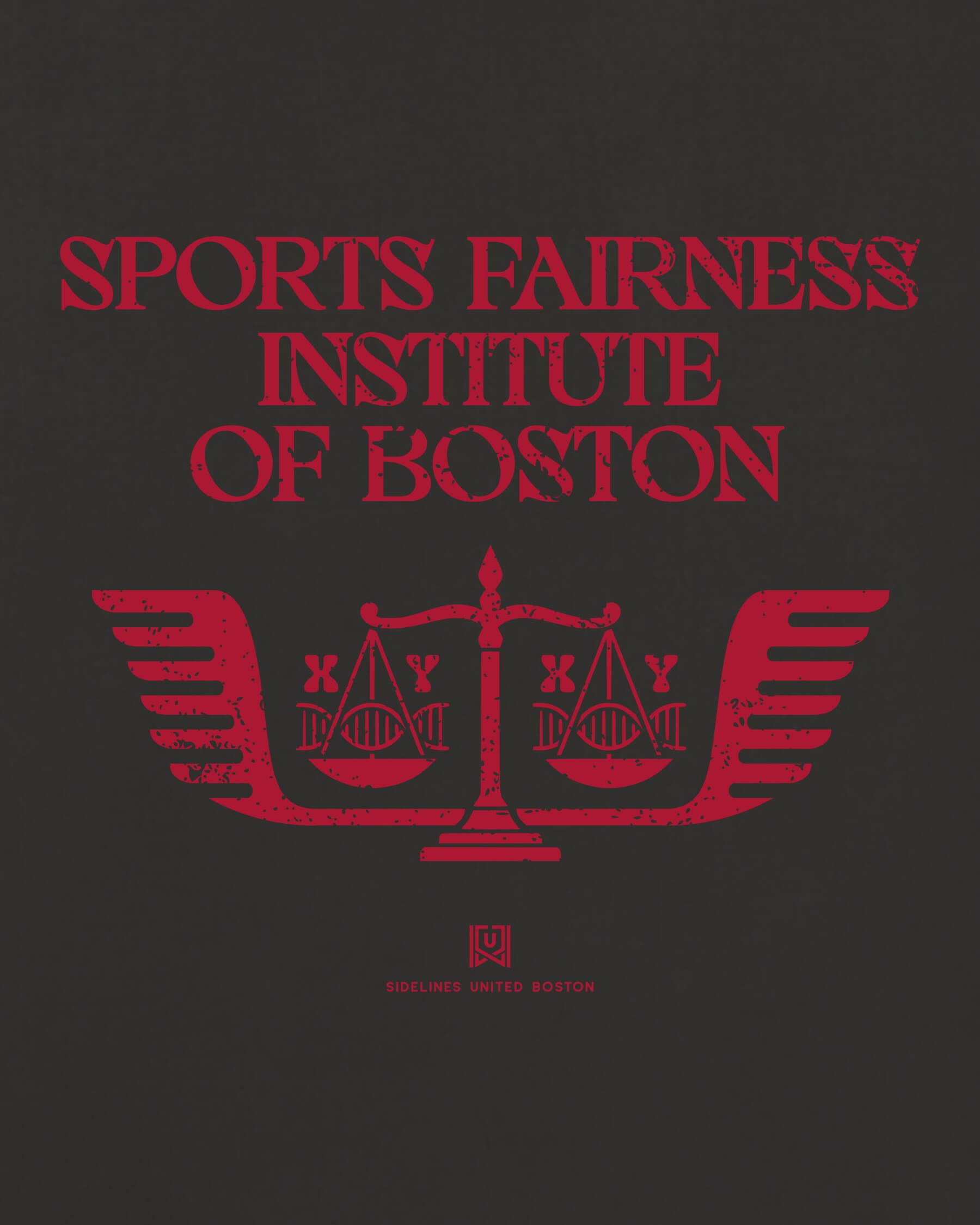 mockup-zoom_T_Sports-Fairness-Institute---All-Sports_Boston_MA_Red-Sox_Team-On-Washed-Black_rel-20260602_id-MV39ER5.jpg